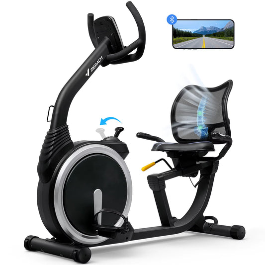 Recumbent Exercise Bike High-End for Home Light Commercial Bikes for Seniors Adult Magnetic Stationary Heart Rate Handle